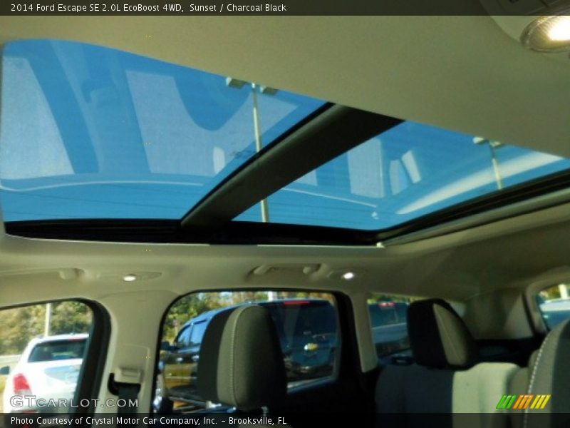 Sunset / Charcoal Black 2014 Ford Escape SE 2.0L EcoBoost 4WD