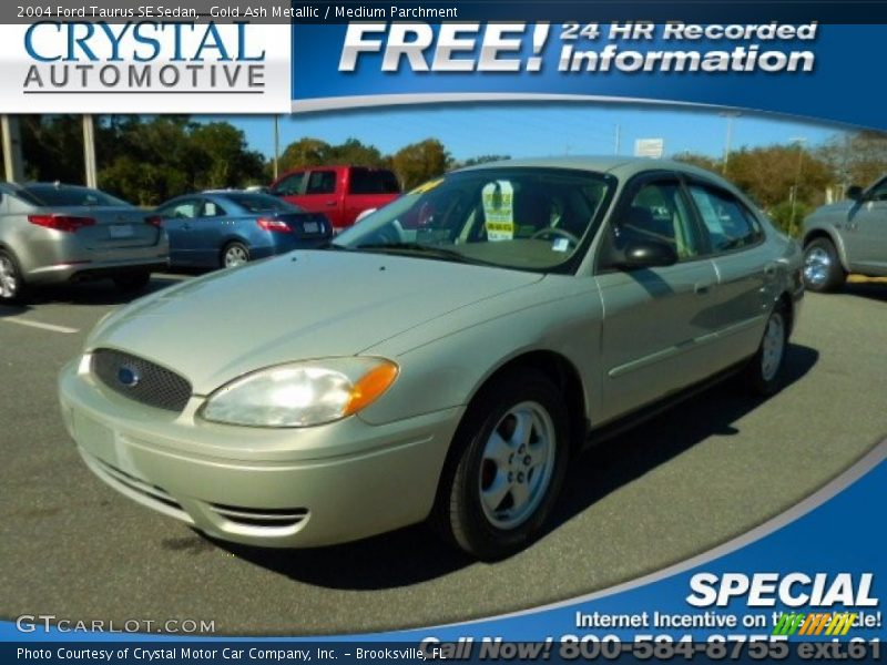 Gold Ash Metallic / Medium Parchment 2004 Ford Taurus SE Sedan