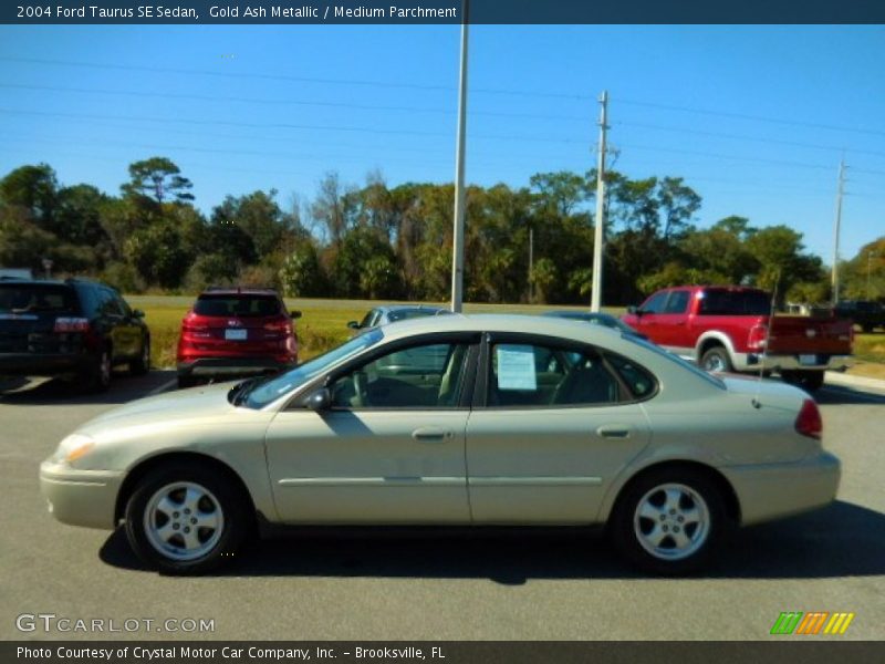 Gold Ash Metallic / Medium Parchment 2004 Ford Taurus SE Sedan