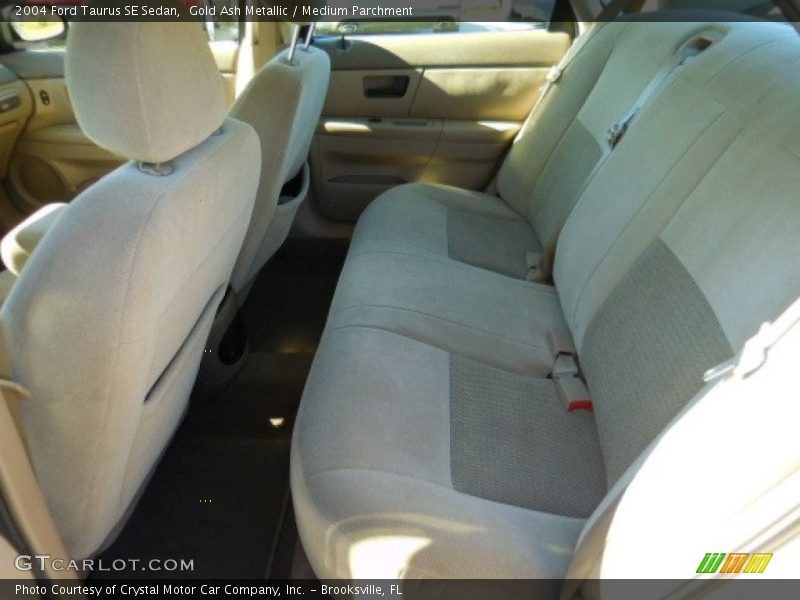 Gold Ash Metallic / Medium Parchment 2004 Ford Taurus SE Sedan