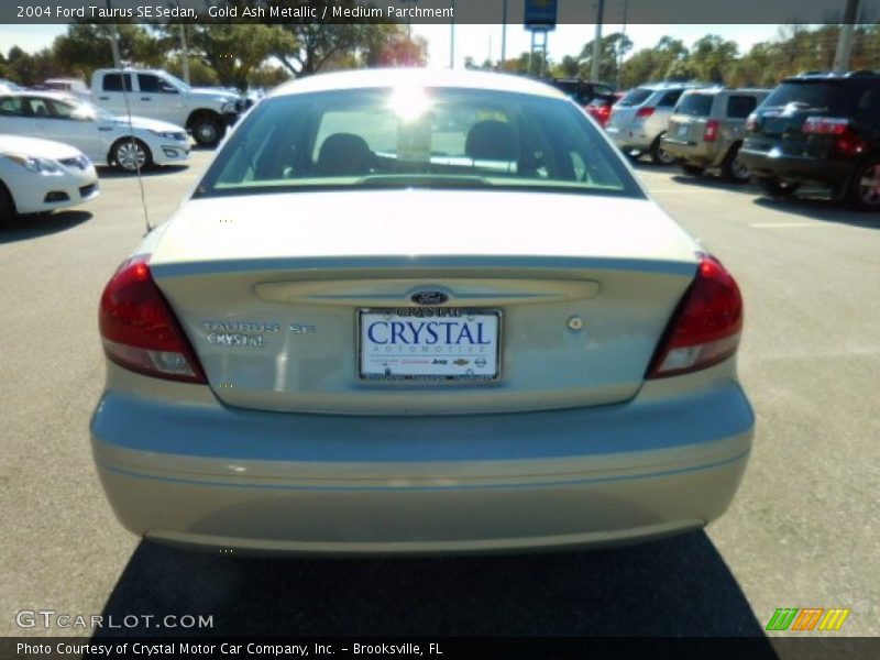 Gold Ash Metallic / Medium Parchment 2004 Ford Taurus SE Sedan