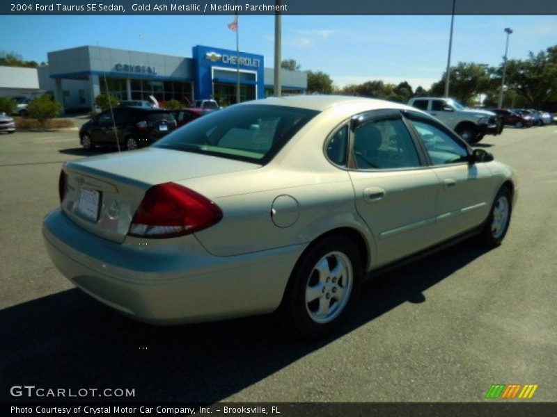 Gold Ash Metallic / Medium Parchment 2004 Ford Taurus SE Sedan