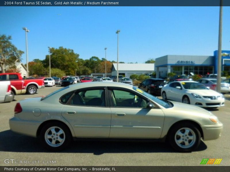 Gold Ash Metallic / Medium Parchment 2004 Ford Taurus SE Sedan