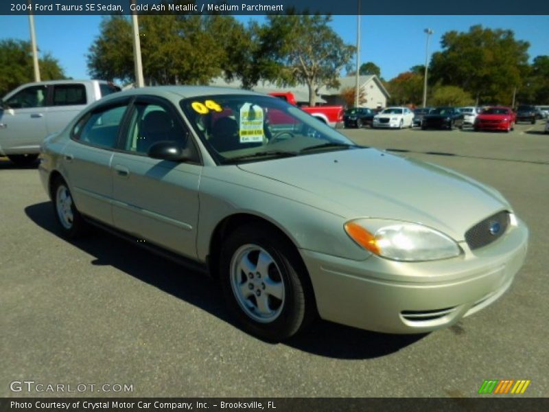 Gold Ash Metallic / Medium Parchment 2004 Ford Taurus SE Sedan