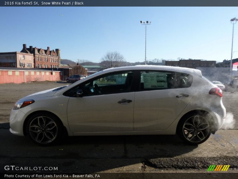 Snow White Pearl / Black 2016 Kia Forte5 SX