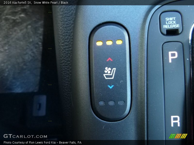 Controls of 2016 Forte5 SX