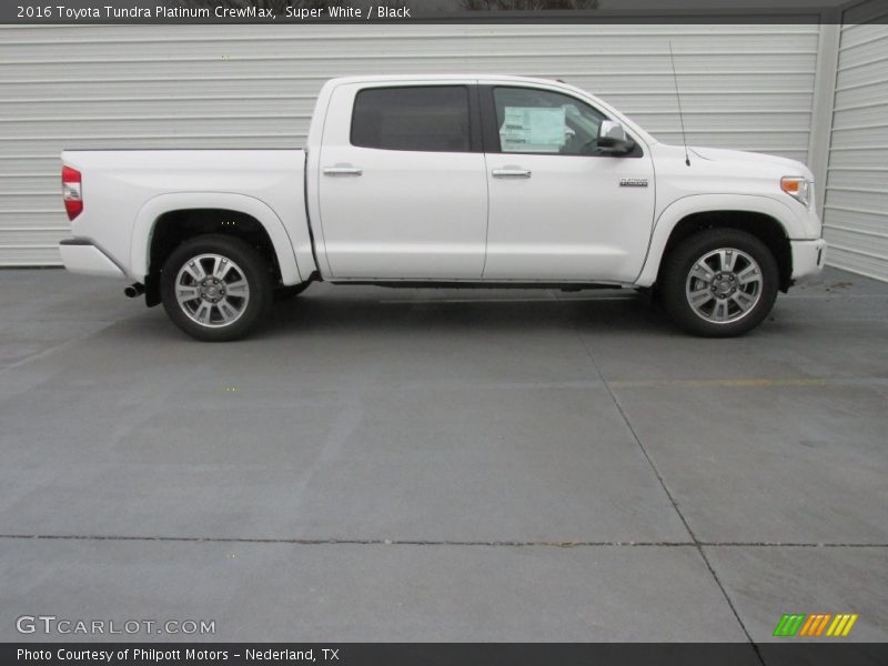  2016 Tundra Platinum CrewMax Super White