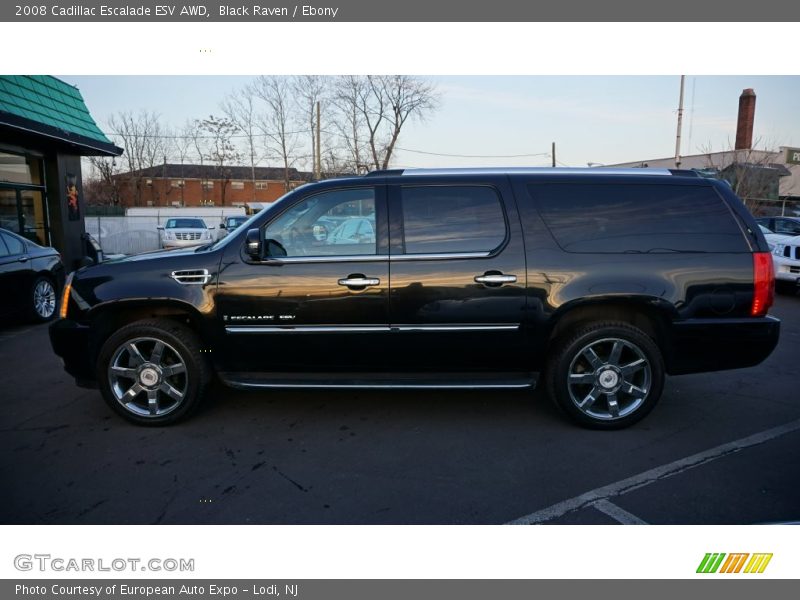 Black Raven / Ebony 2008 Cadillac Escalade ESV AWD
