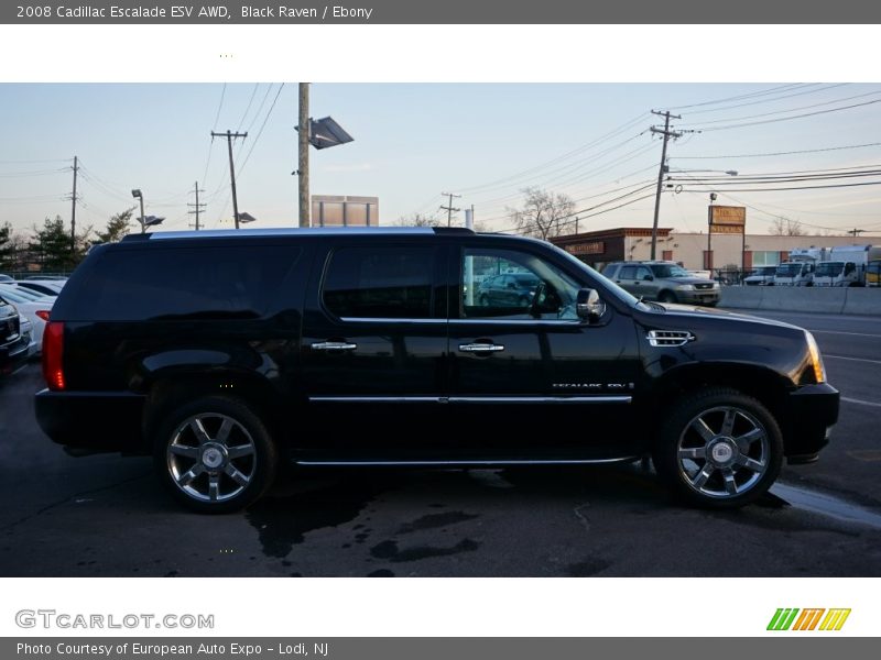 Black Raven / Ebony 2008 Cadillac Escalade ESV AWD