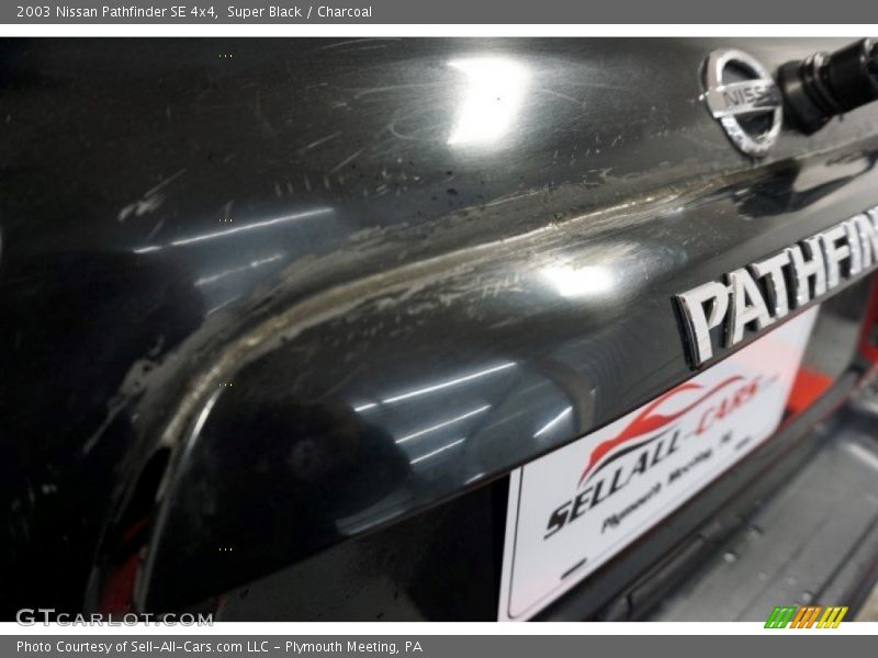 Super Black / Charcoal 2003 Nissan Pathfinder SE 4x4