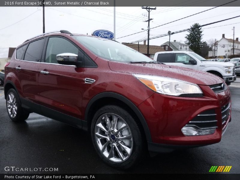 Sunset Metallic / Charcoal Black 2016 Ford Escape SE 4WD