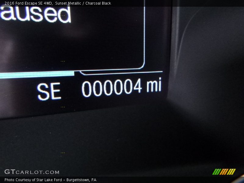 Sunset Metallic / Charcoal Black 2016 Ford Escape SE 4WD