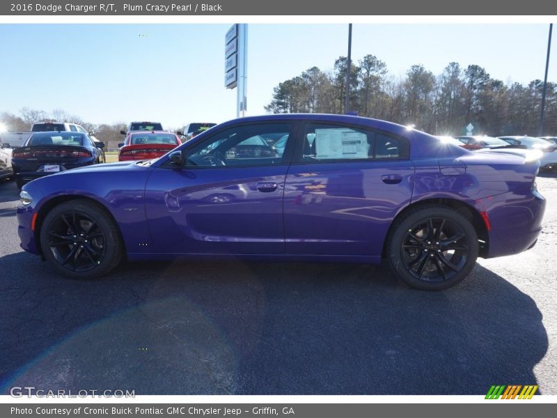 Plum Crazy Pearl / Black 2016 Dodge Charger R/T