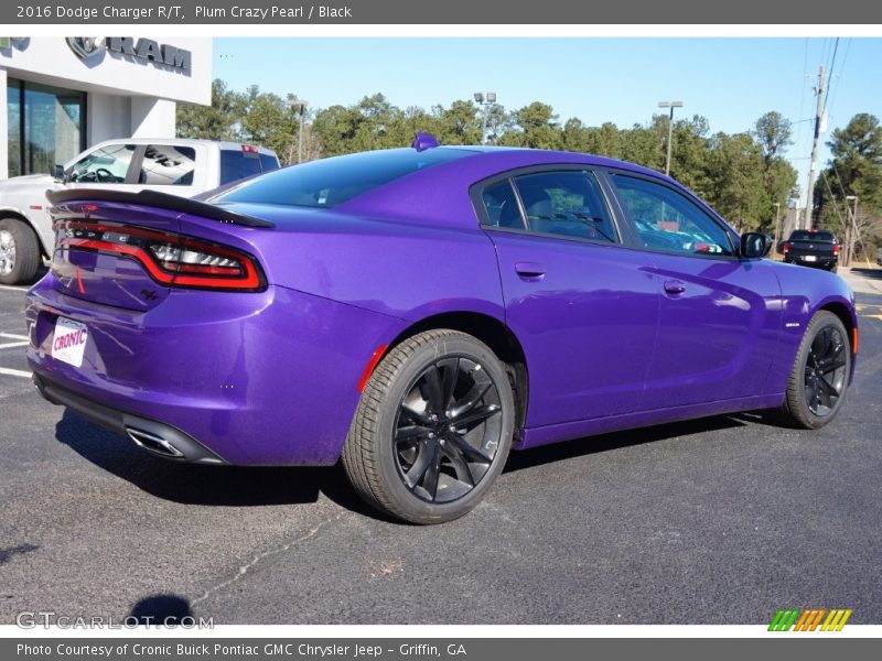 Plum Crazy Pearl / Black 2016 Dodge Charger R/T