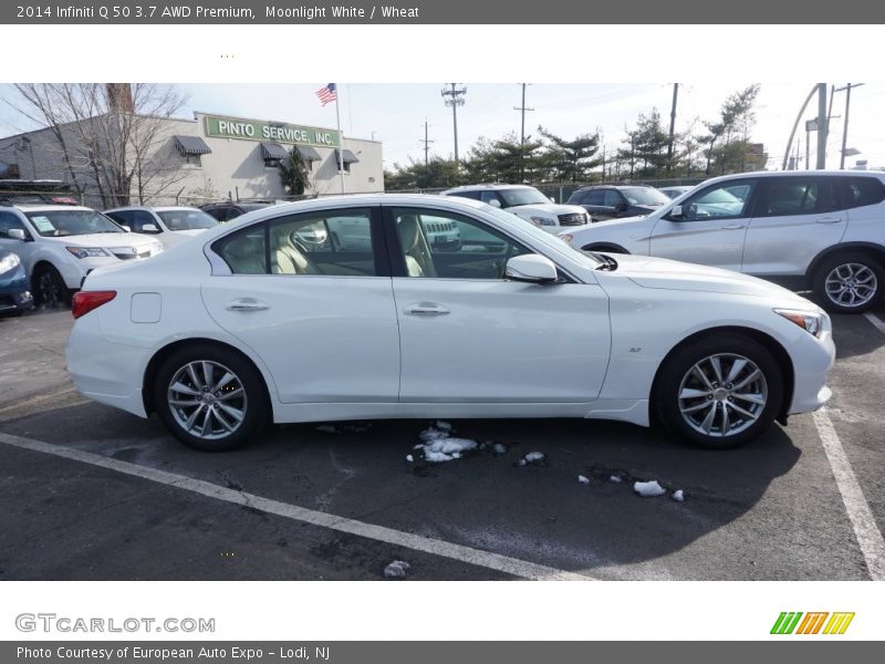 Moonlight White / Wheat 2014 Infiniti Q 50 3.7 AWD Premium