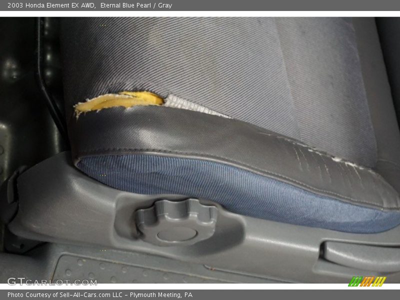 Eternal Blue Pearl / Gray 2003 Honda Element EX AWD