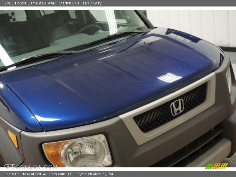 Eternal Blue Pearl / Gray 2003 Honda Element EX AWD