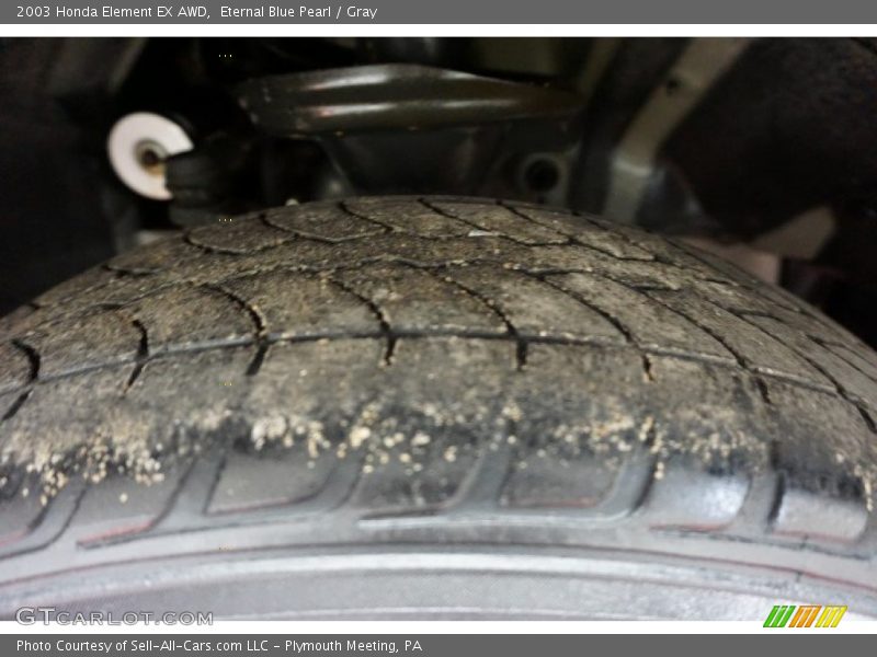 Eternal Blue Pearl / Gray 2003 Honda Element EX AWD