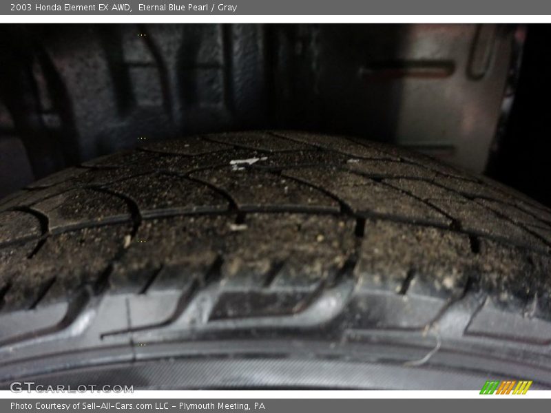 Eternal Blue Pearl / Gray 2003 Honda Element EX AWD