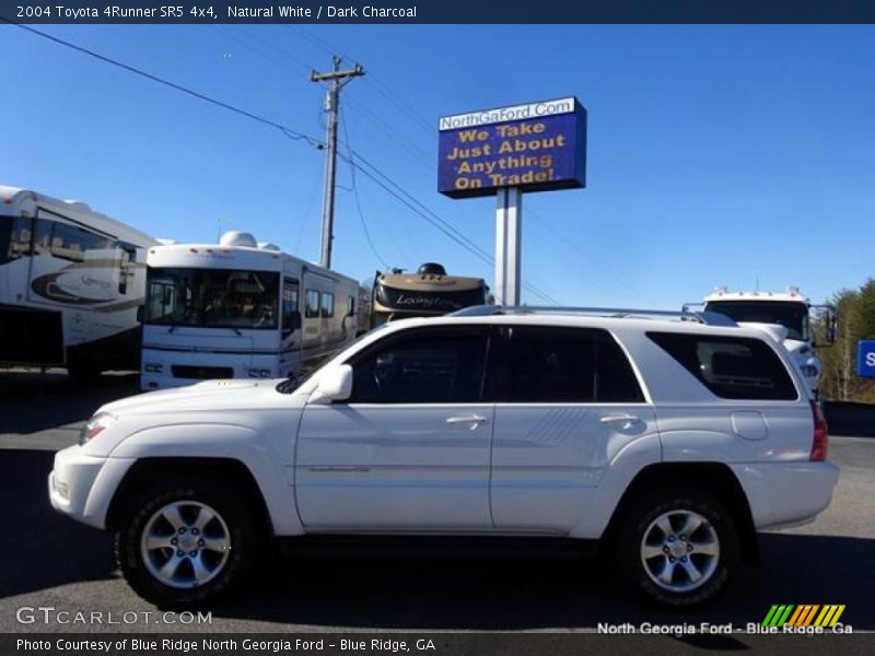 Natural White / Dark Charcoal 2004 Toyota 4Runner SR5 4x4