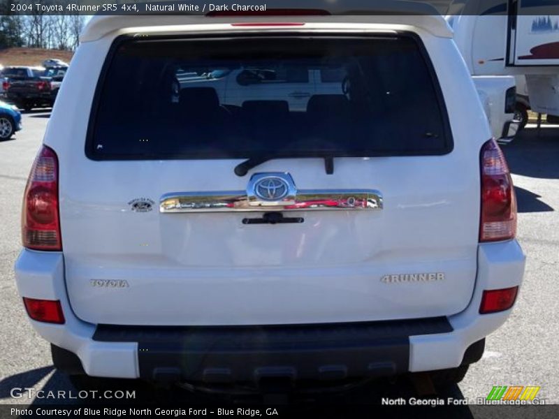 Natural White / Dark Charcoal 2004 Toyota 4Runner SR5 4x4