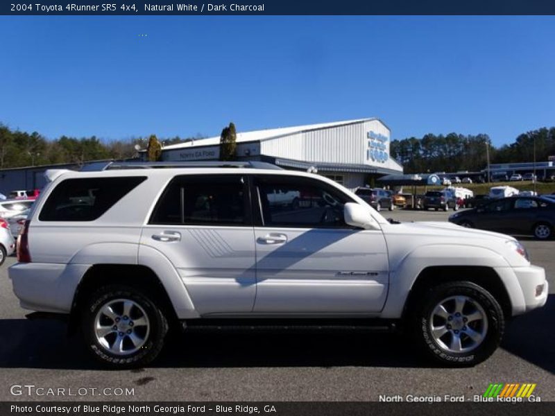 Natural White / Dark Charcoal 2004 Toyota 4Runner SR5 4x4