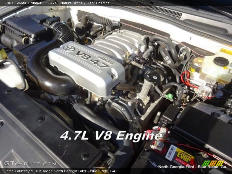 Natural White / Dark Charcoal 2004 Toyota 4Runner SR5 4x4