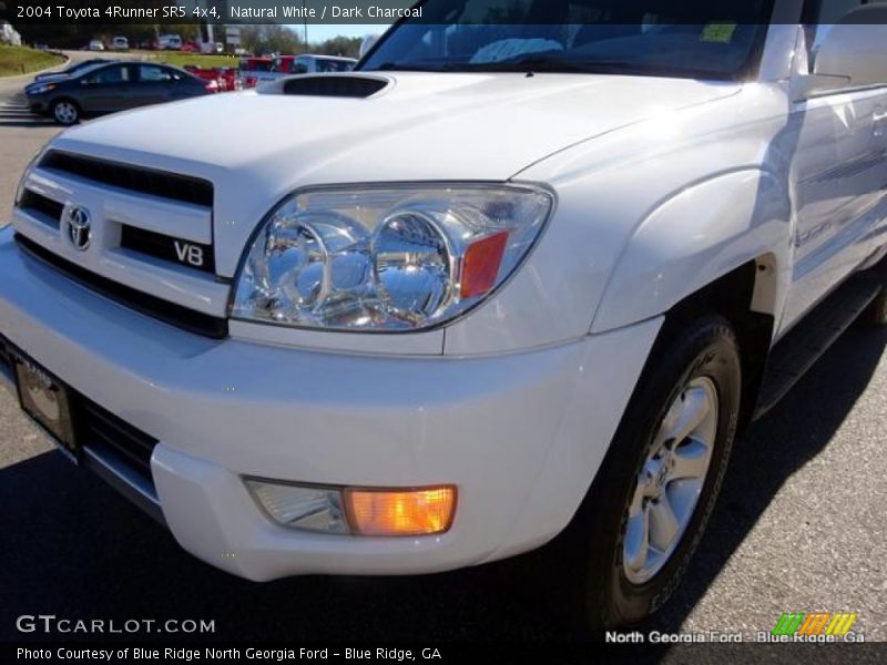 Natural White / Dark Charcoal 2004 Toyota 4Runner SR5 4x4