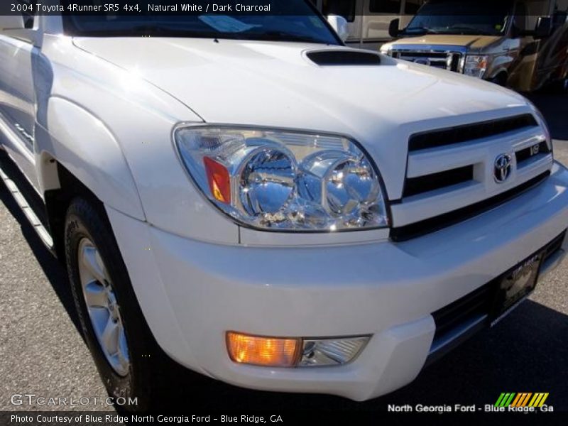 Natural White / Dark Charcoal 2004 Toyota 4Runner SR5 4x4