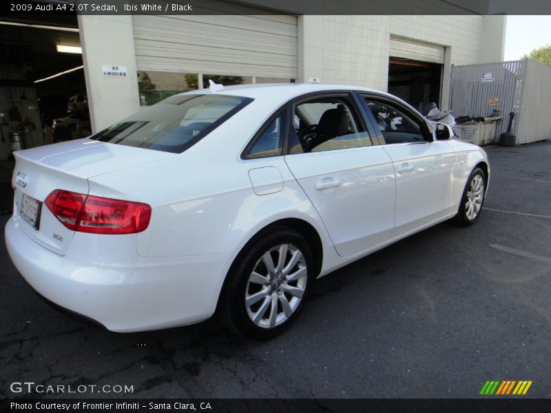 Ibis White / Black 2009 Audi A4 2.0T Sedan