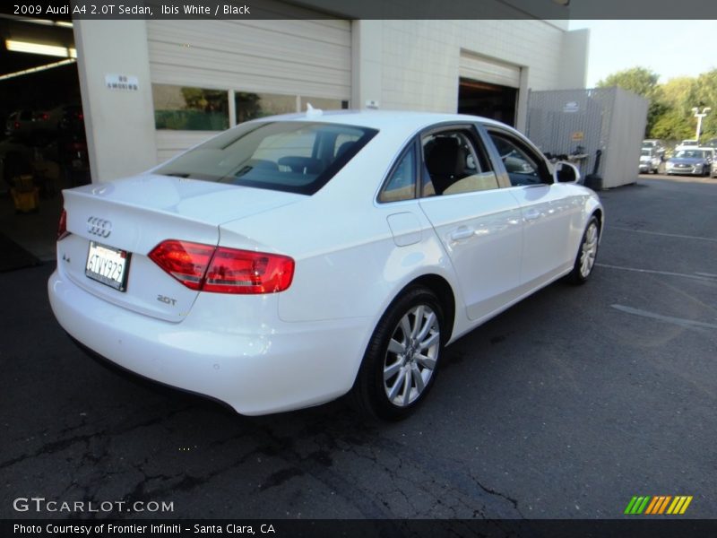 Ibis White / Black 2009 Audi A4 2.0T Sedan