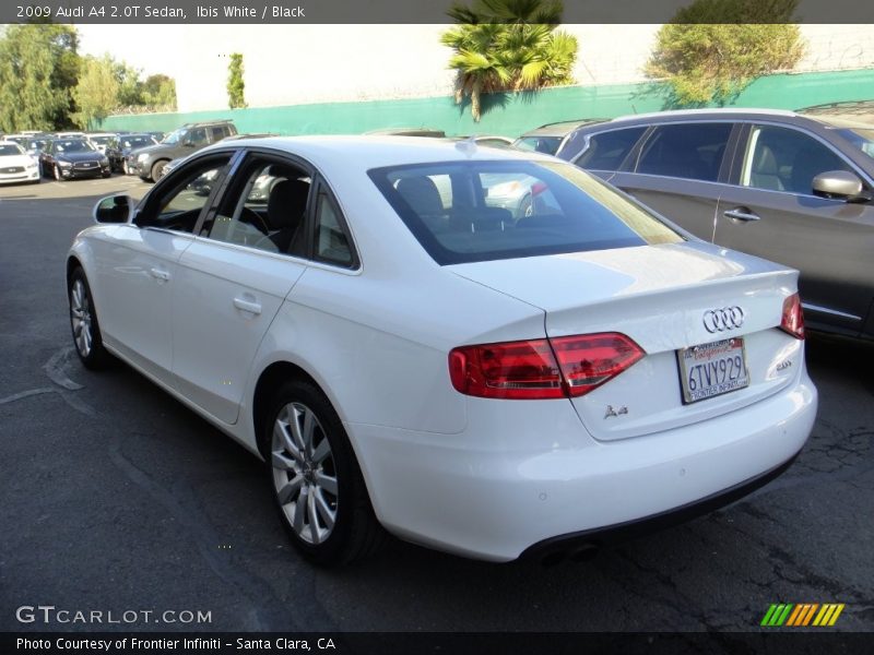 Ibis White / Black 2009 Audi A4 2.0T Sedan