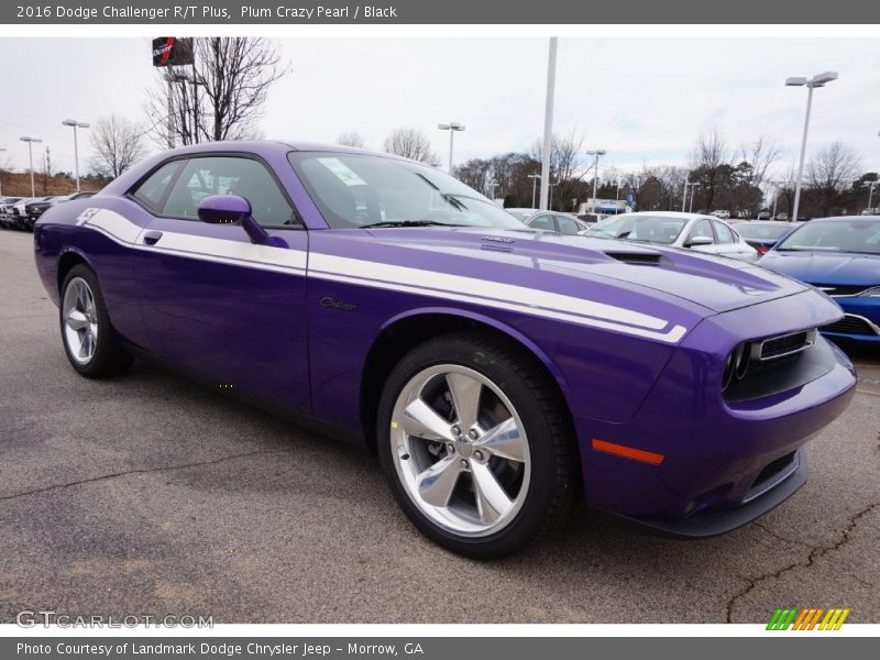 Plum Crazy Pearl / Black 2016 Dodge Challenger R/T Plus