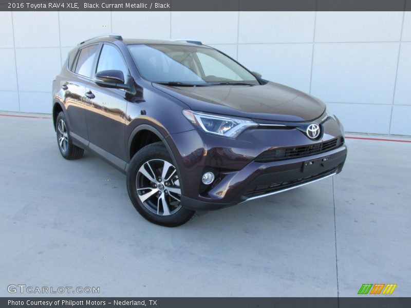 Black Currant Metallic / Black 2016 Toyota RAV4 XLE