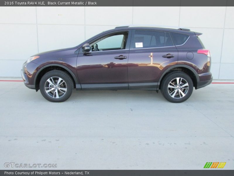 Black Currant Metallic / Black 2016 Toyota RAV4 XLE