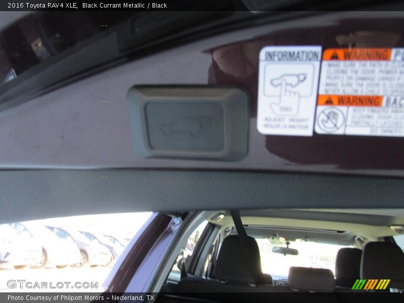 Black Currant Metallic / Black 2016 Toyota RAV4 XLE