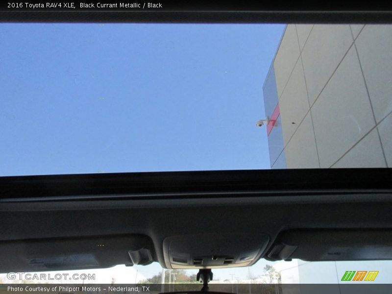 Black Currant Metallic / Black 2016 Toyota RAV4 XLE