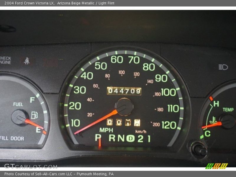 Arizona Beige Metallic / Light Flint 2004 Ford Crown Victoria LX