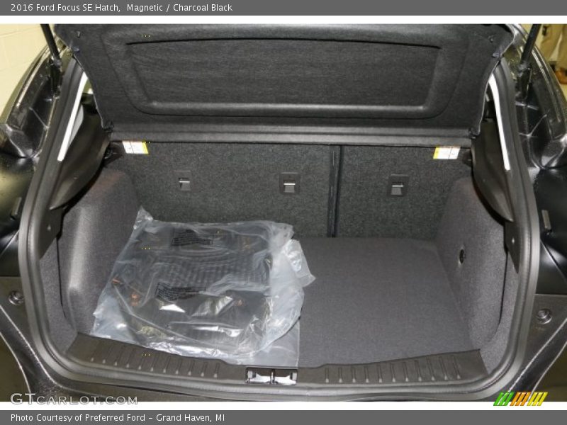 Magnetic / Charcoal Black 2016 Ford Focus SE Hatch