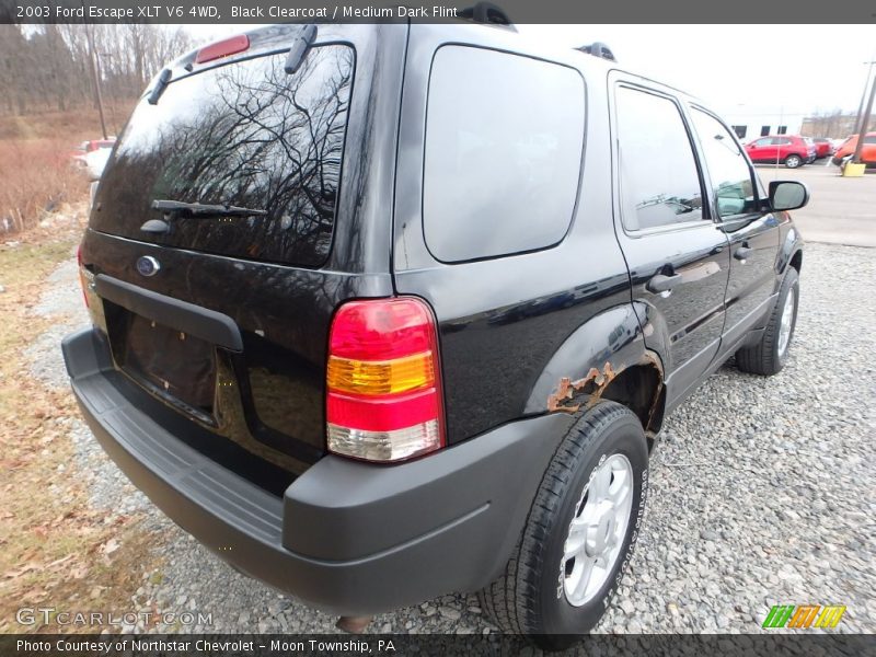 Black Clearcoat / Medium Dark Flint 2003 Ford Escape XLT V6 4WD