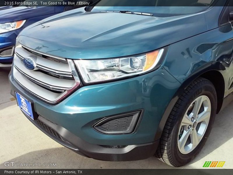 Too Good to Be Blue / Ebony 2016 Ford Edge SE