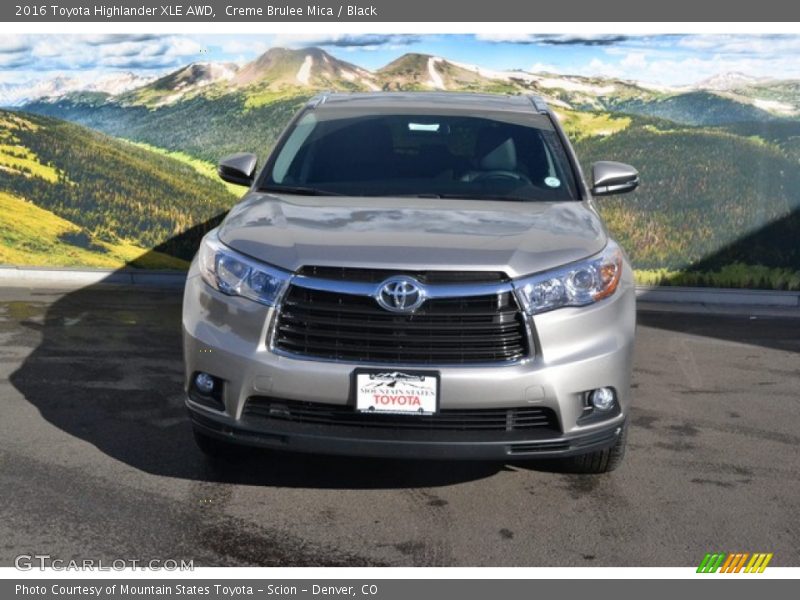 Creme Brulee Mica / Black 2016 Toyota Highlander XLE AWD