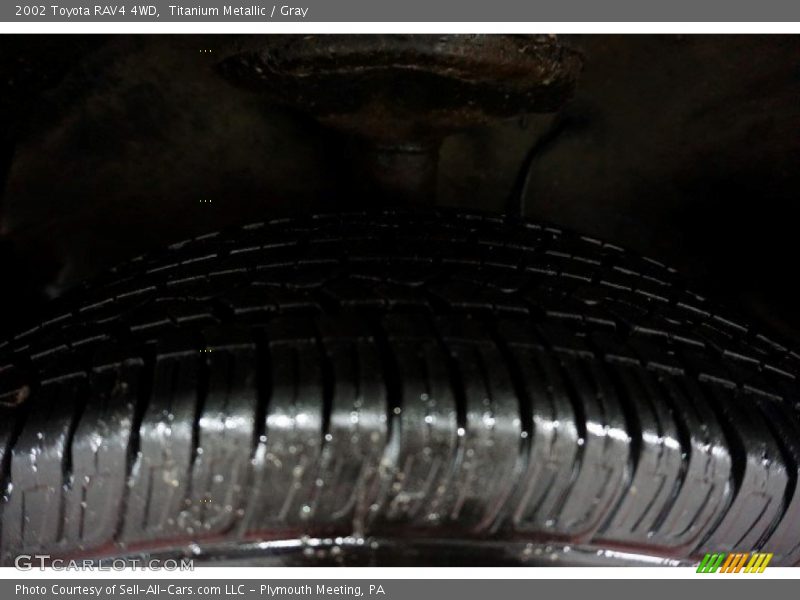 Titanium Metallic / Gray 2002 Toyota RAV4 4WD