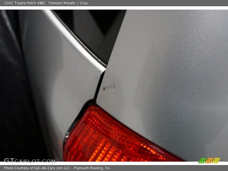 Titanium Metallic / Gray 2002 Toyota RAV4 4WD