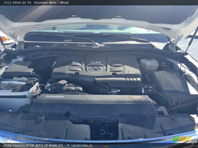 Moonlight White / Wheat 2012 Infiniti QX 56