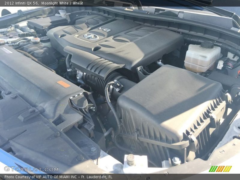 Moonlight White / Wheat 2012 Infiniti QX 56