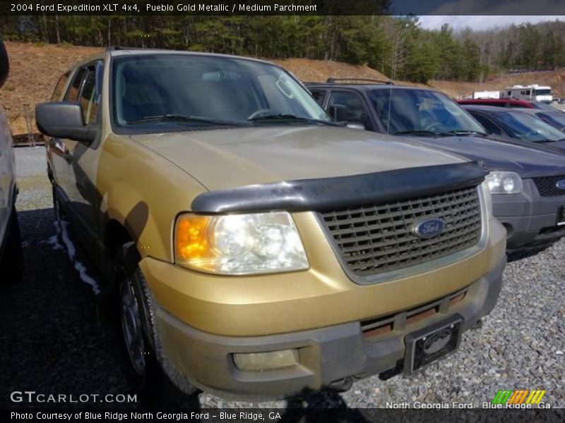 Pueblo Gold Metallic / Medium Parchment 2004 Ford Expedition XLT 4x4