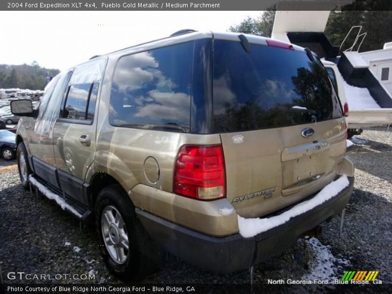 Pueblo Gold Metallic / Medium Parchment 2004 Ford Expedition XLT 4x4