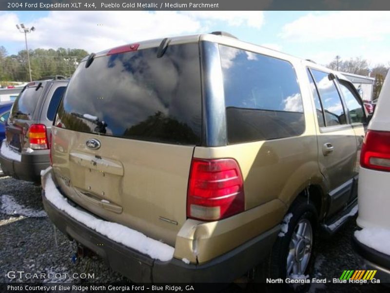 Pueblo Gold Metallic / Medium Parchment 2004 Ford Expedition XLT 4x4