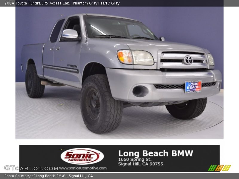 Phantom Gray Pearl / Gray 2004 Toyota Tundra SR5 Access Cab